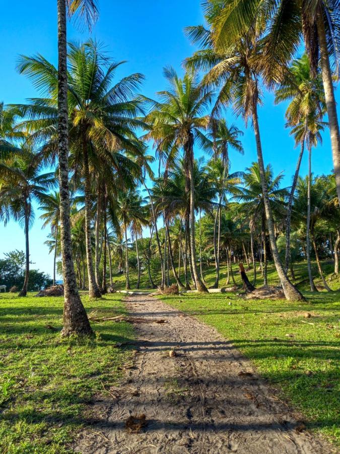 Pousada Beija Flor - Ilha Boipeba Velha Boipeba ภายนอก รูปภาพ